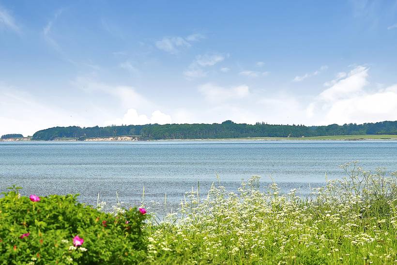 Foto von Ferienhaus MK54 in Sandager Næs - Südfünen