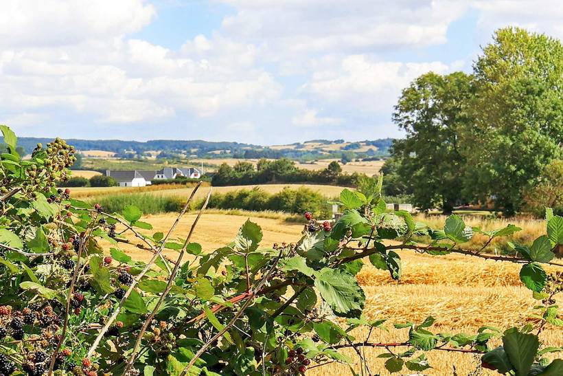 Foto von Ferienhaus MK65 auf Horne - Südfünen