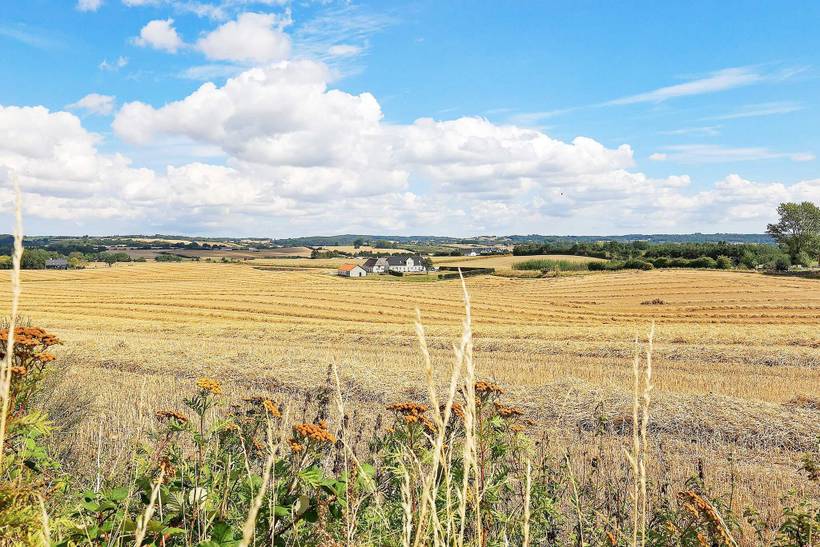 Foto von Ferienhaus MK65 auf Horne - Südfünen