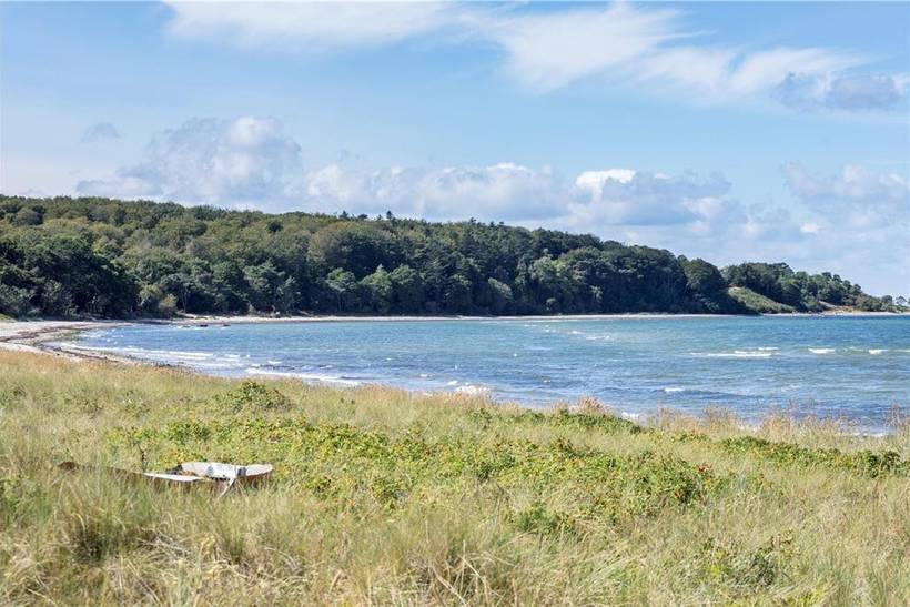 Foto von Ferienhaus ML51 in Sejerø Bugt - Westseeland