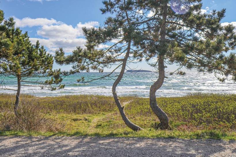 Foto von Ferienhaus MM27 in Elsegårde - Ebeltoft - Ostjütland
