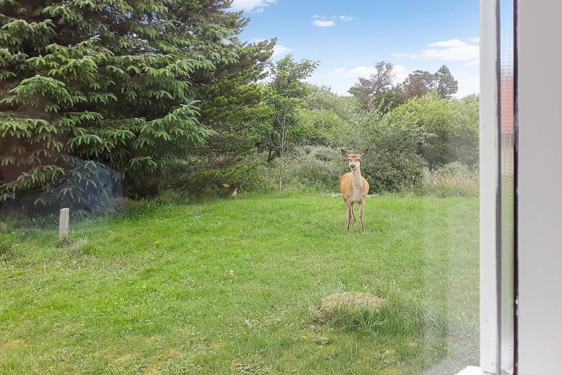 Foto von Ferienhaus MM39 in Grærup - Vejers Strand - Westjütland