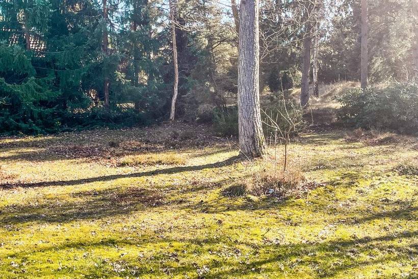 Foto von Ferienhaus MM59 in Skansebugten - Rørvig - Westseeland