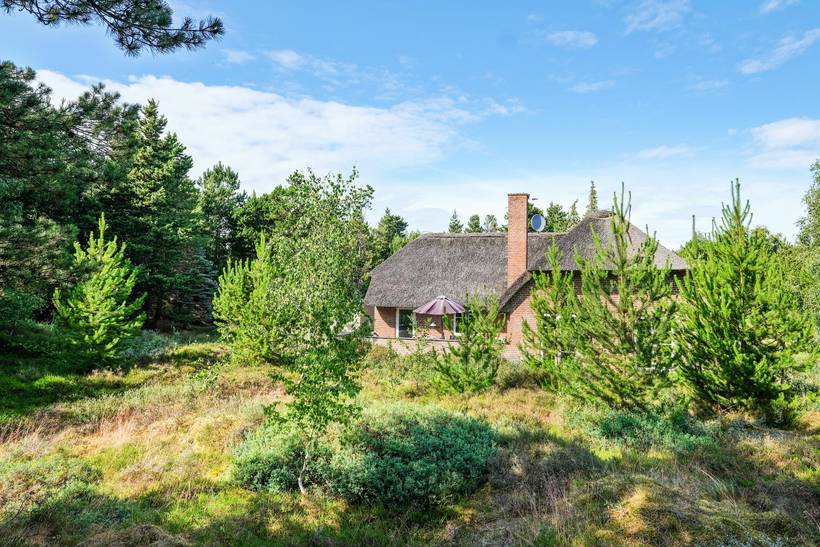 Foto von Ferienhaus MM75 in Toftum - Rømø