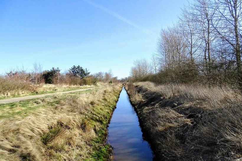Foto von Ferienhaus MN10 in Bork Havn - Westjütland