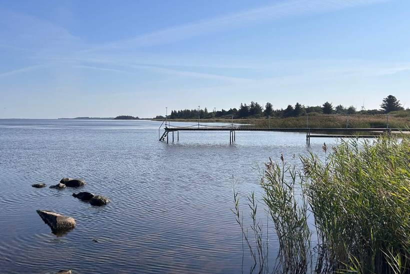 Foto von Ferienhaus MN10 in Bork Havn - Westjütland
