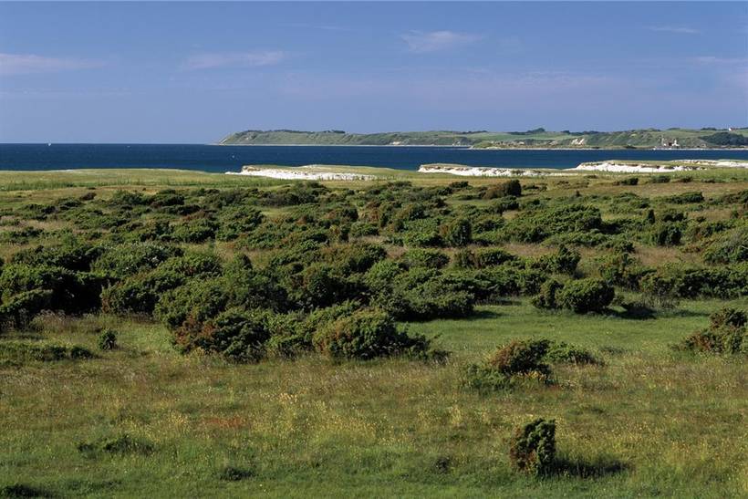 Foto von Ferienhaus MN27 auf Vesterlyng - Westseeland