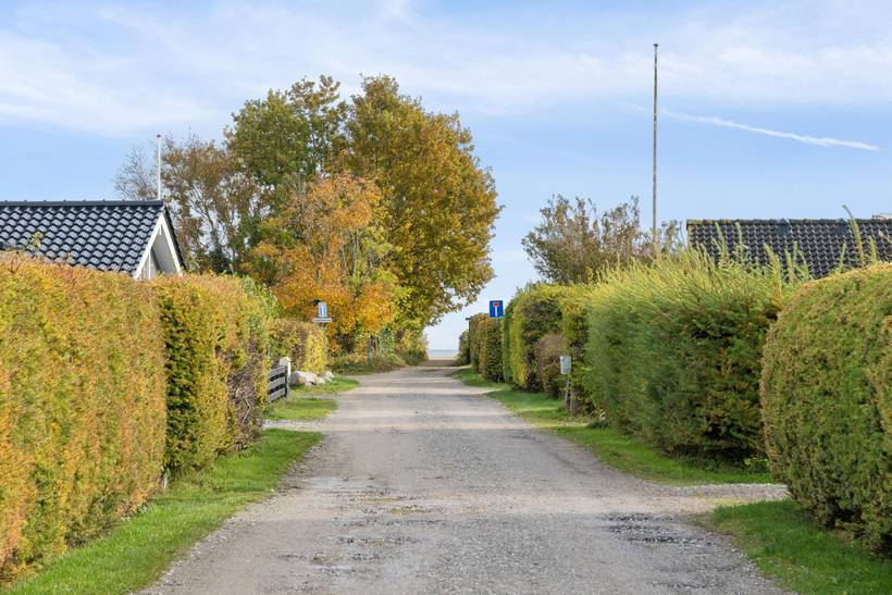 Foto von Ferienhaus MN31 in Høll - Hvidbjerg - Ostjütland