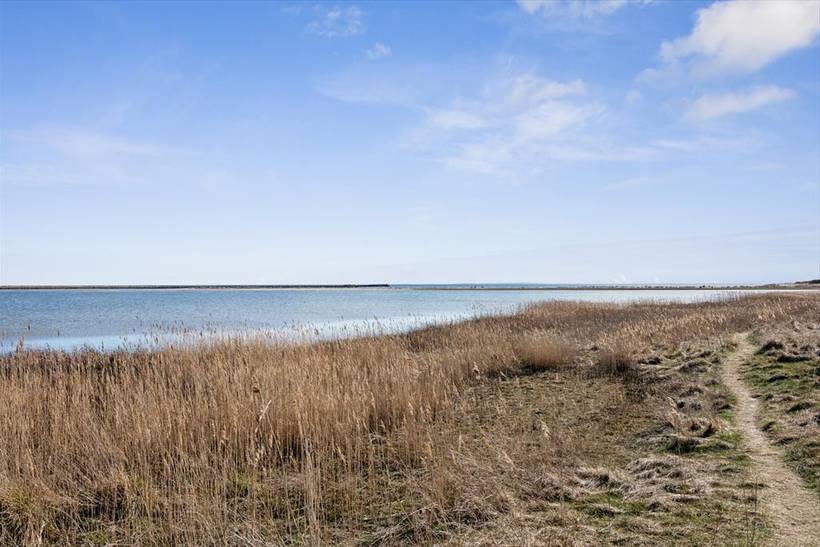 Foto von Ferienhaus MN38 in Ebeltoft - Ostjütland