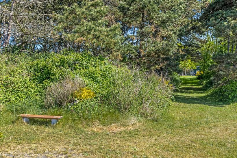 Foto von Ferienhaus MN73 in Sjællands Odde - Westseeland