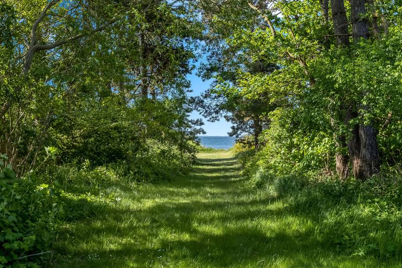 Foto von Ferienhaus MN73 in Sjællands Odde - Westseeland