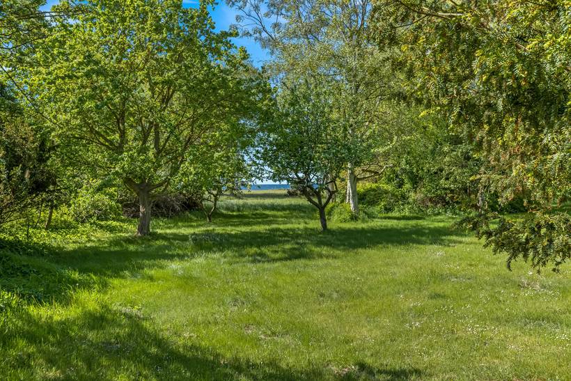 Foto von Ferienhaus MN73 in Sjællands Odde - Westseeland