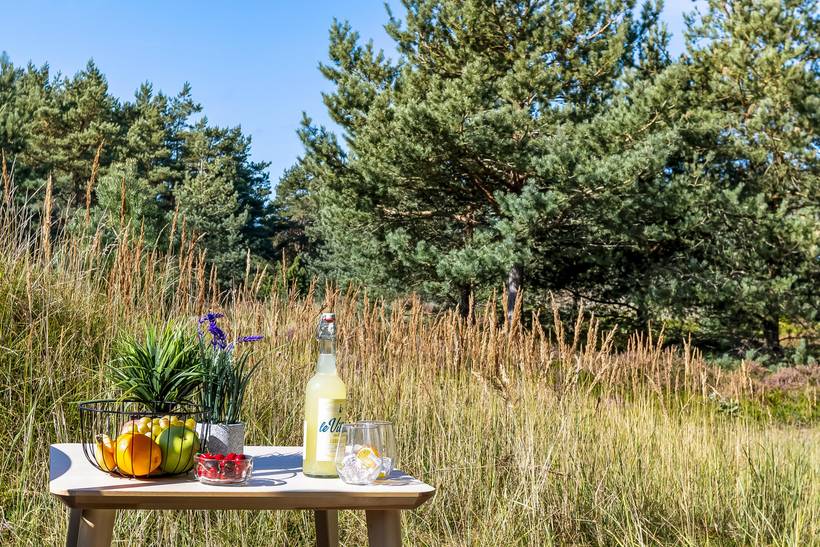 Foto von Ferienhaus MN90 in Nordmarken - Læsø