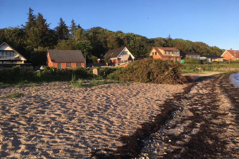 Foto von Ferienhaus MN91 auf Mors - Thy/Limfjord