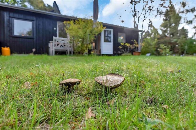 Foto von Ferienhaus MO23 in Nordstrand - Rørvig - Westseeland