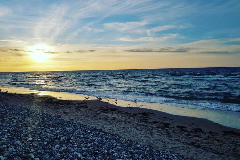 Foto von Ferienhaus MO32 in Udsholt - Rågeleje - Nordseeland