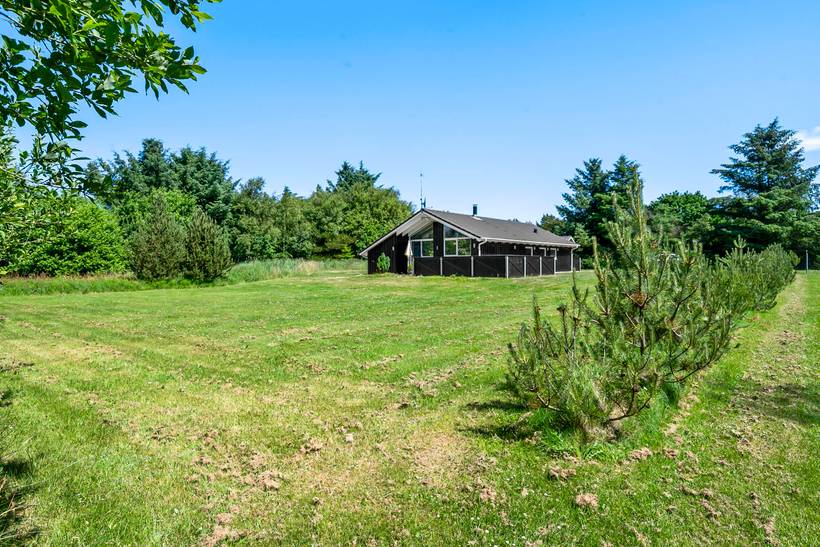 Foto von Ferienhaus MO46 in Lodbjerg Hede - Søndervig - Westjütland