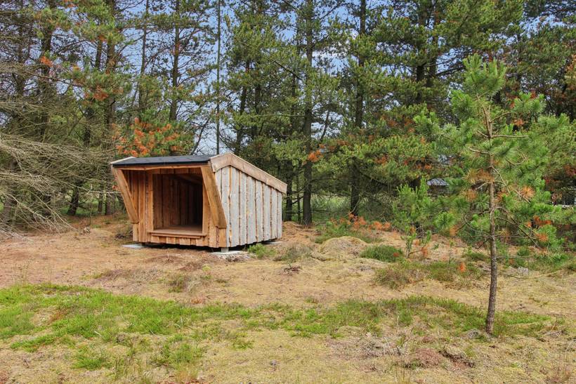 Foto von Ferienhaus MO84 in Kromose - Rømø