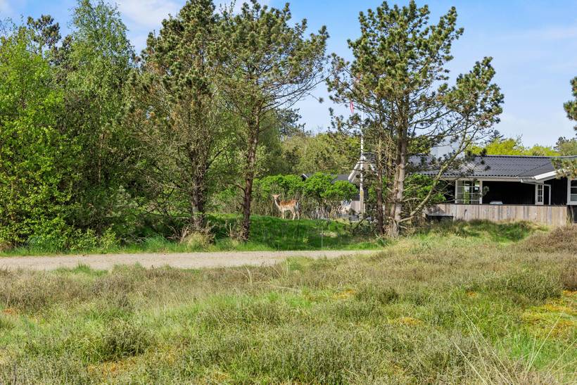 Foto von Ferienhaus MP59 in Rindby - Fanø