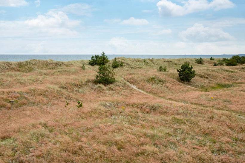 Foto von Ferienhaus MP70 in Ålbæk - Nordjütland Ost