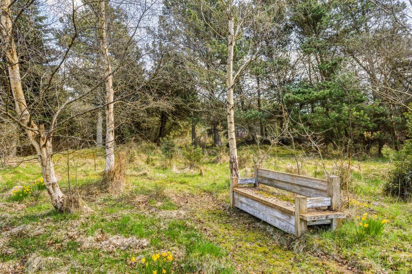 Foto von Ferienhaus MP77 in Blåvand - Westjütland