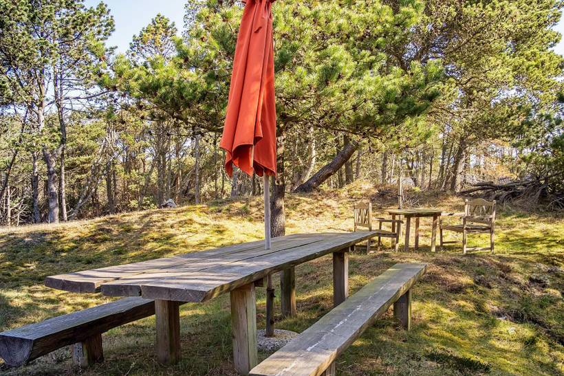 Foto von Ferienhaus MQ47 in Vorupør - Thy/Limfjord