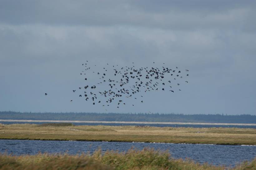 Foto von Ferienhaus MR09 auf Mors - Thy/Limfjord