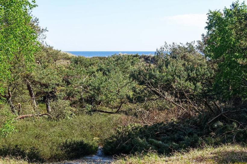 Foto von Ferienhaus MR14 in Dueodde - Bornholm