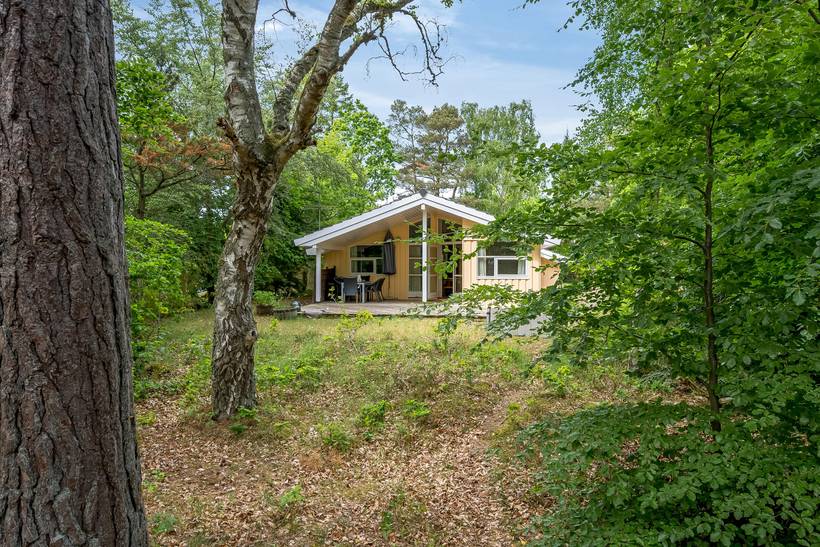 Foto von Ferienhaus MR63 in Fjellerup - Ostjütland