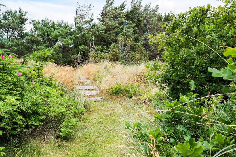 Foto von Ferienhaus MR64 in Blokhus - Nordjütland
