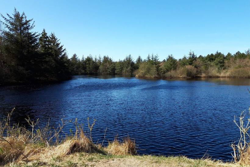 Foto von Ferienhaus MR64 in Blokhus - Nordjütland