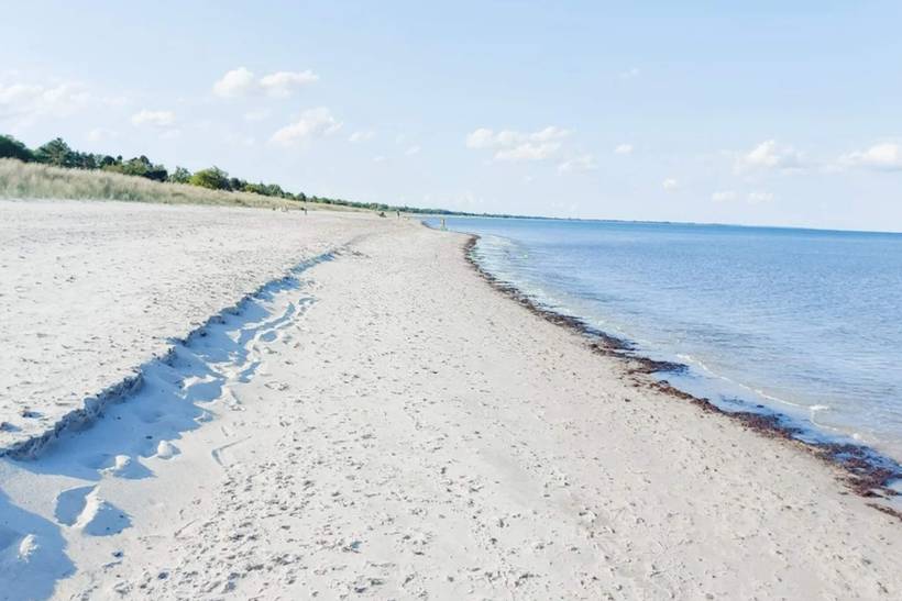 Foto von Ferienhaus MR69 in Marielyst - Falster