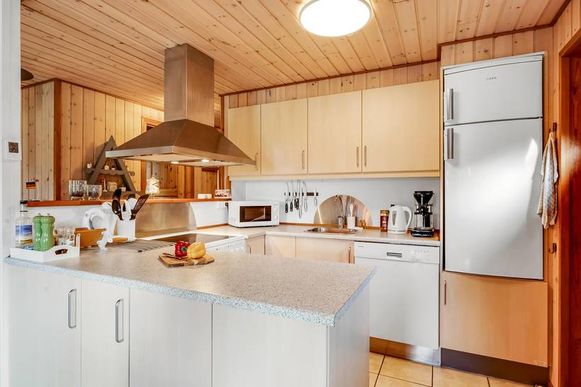 Foto von Ferienhaus MS04 in Skalstrup - Westjütland