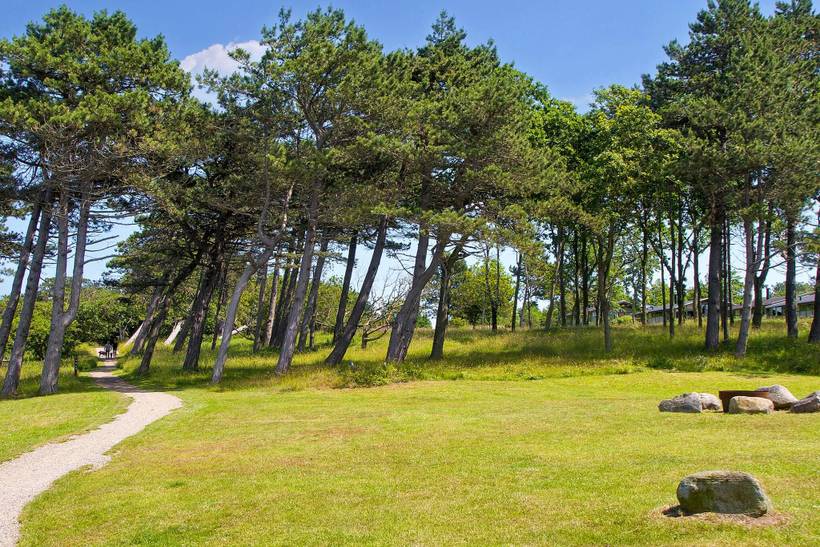 Foto von Ferienhaus MS07 in Gilleleje - Nordseeland