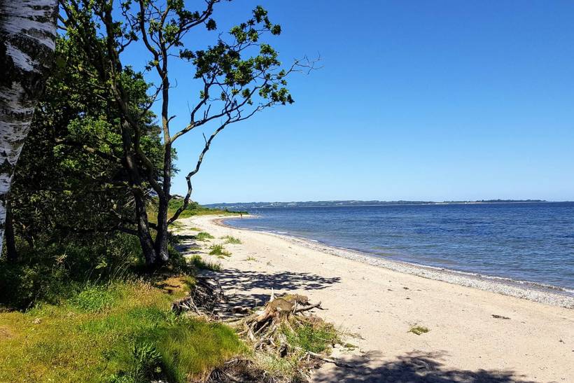 Foto von Ferienhaus MS10 in Eskov Strandpark - Thy/Limfjord