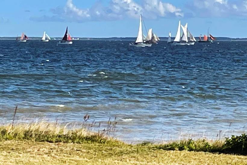 Foto von Ferienhaus MS10 in Eskov Strandpark - Thy/Limfjord