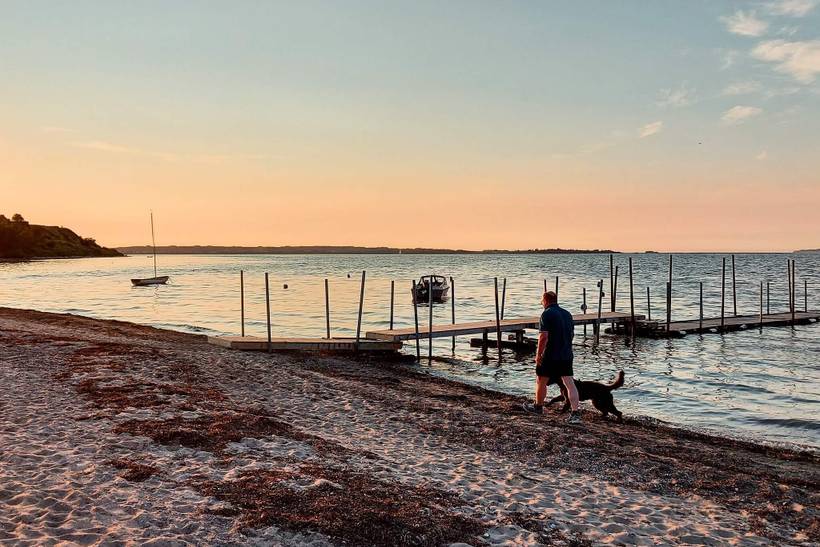 Foto von Ferienhaus MS10 in Eskov Strandpark - Thy/Limfjord