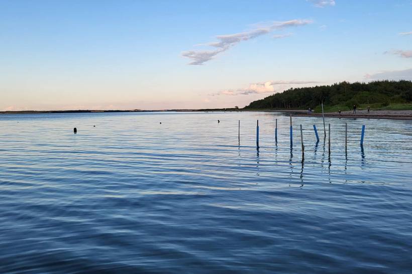 Foto von Ferienhaus MS10 in Eskov Strandpark - Thy/Limfjord