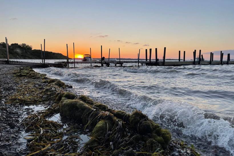 Foto von Ferienhaus MS10 in Eskov Strandpark - Thy/Limfjord