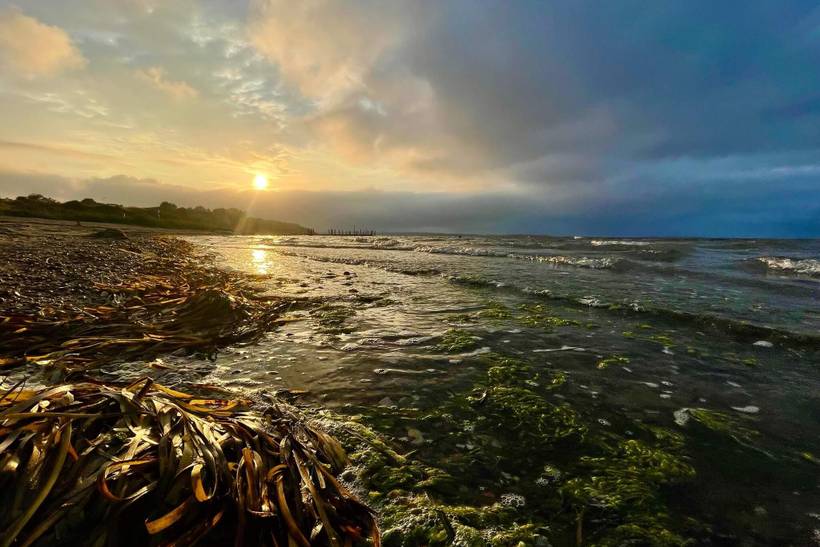 Foto von Ferienhaus MS10 in Eskov Strandpark - Thy/Limfjord