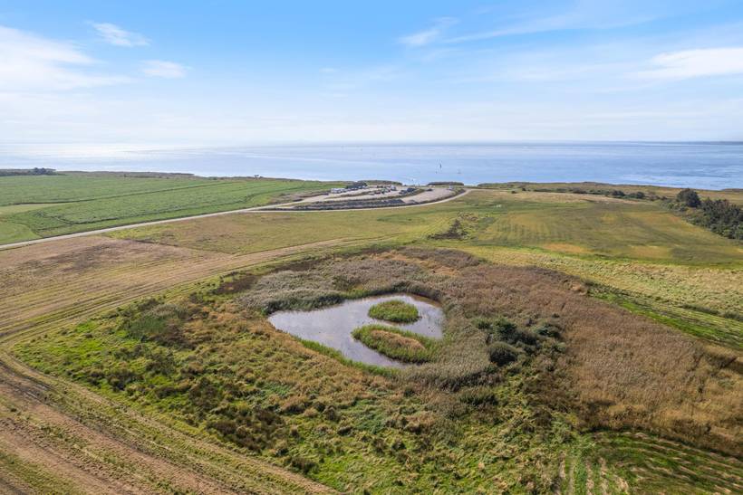 Foto von Ferienhaus MS23 in Holmsland - Westjütland