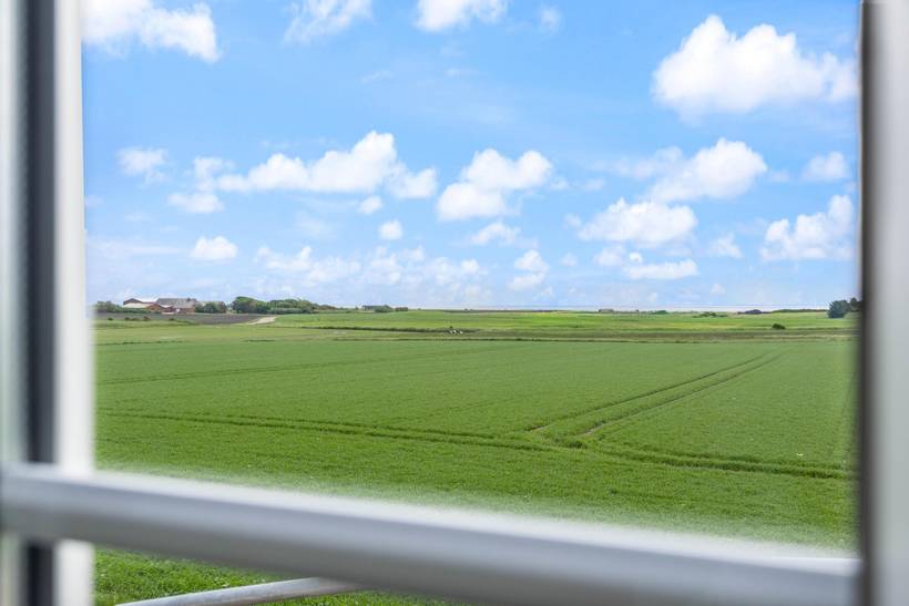 Foto von Ferienhaus MS23 in Holmsland - Westjütland