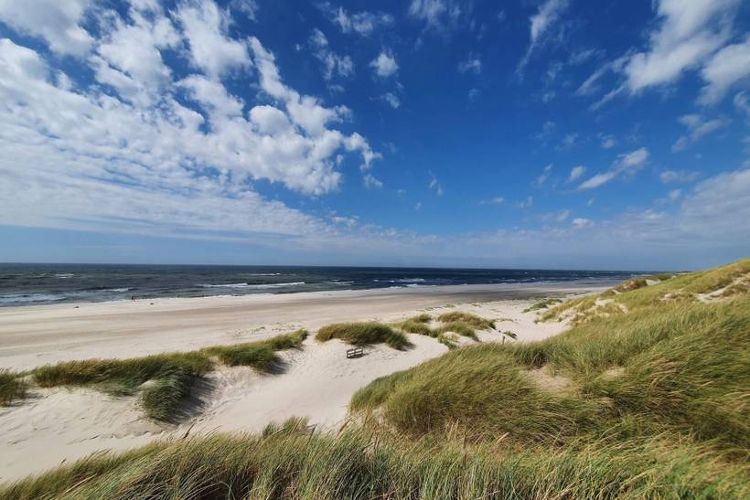 Foto von Ferienhaus MS39 in Henne Strand - Westjütland