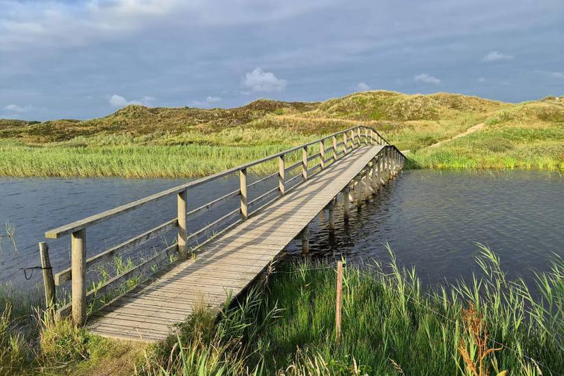 Foto von Ferienhaus MS39 in Henne Strand - Westjütland