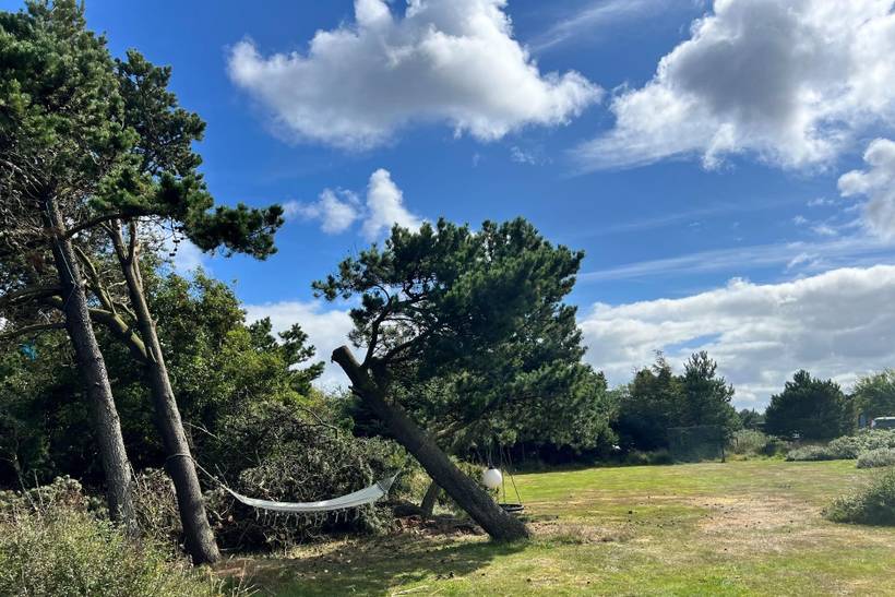 Foto von Ferienhaus MT31 in Vejers Strand - Westjütland