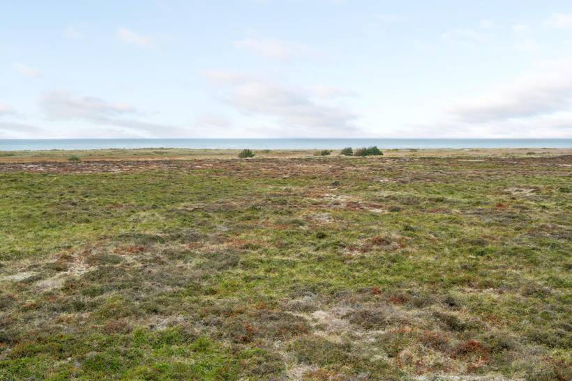 Foto von Ferienhaus MT73 in Vesterø - Læsø