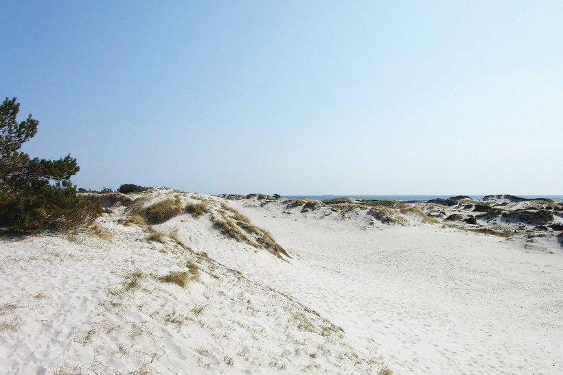 Foto von Ferienhaus MT92 in Dueodde - Bornholm