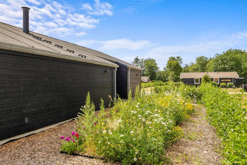 Foto von Ferienhaus MU77 in Bork Havn - Westjütland