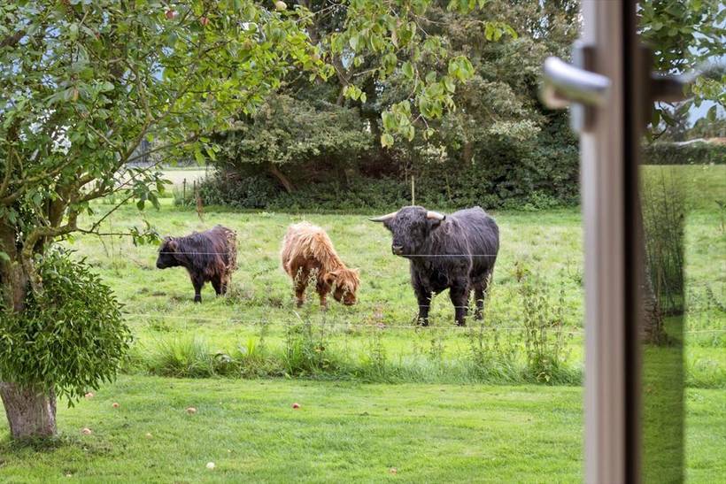 Foto von Ferienhaus MV04 in Norsminde - Odder - Ostjütland