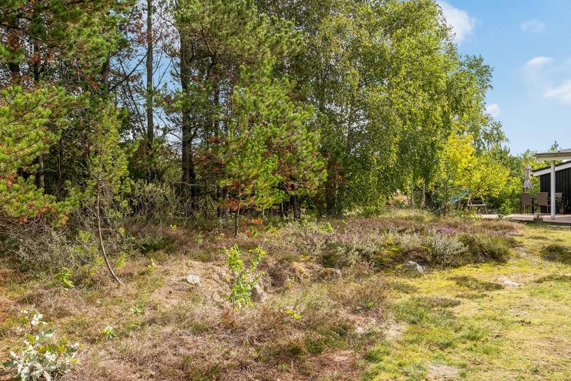 Foto von Ferienhaus MW08 in Lyngså - Nordjütland Ost